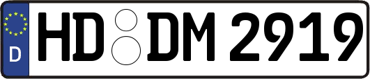 HD-DM2919