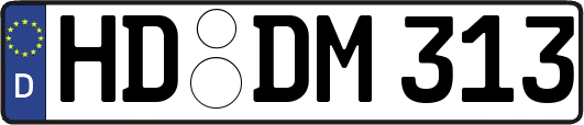 HD-DM313
