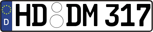HD-DM317