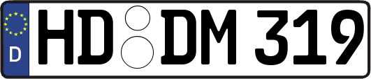 HD-DM319