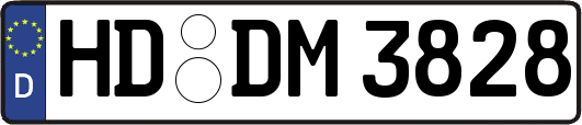 HD-DM3828