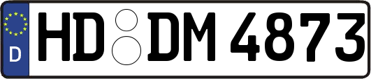 HD-DM4873