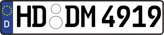 HD-DM4919