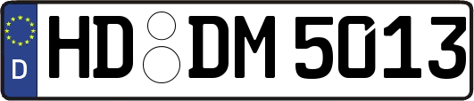 HD-DM5013