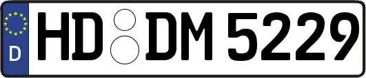 HD-DM5229