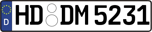 HD-DM5231