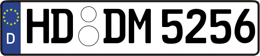 HD-DM5256