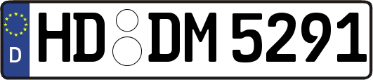 HD-DM5291