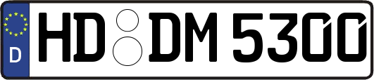 HD-DM5300