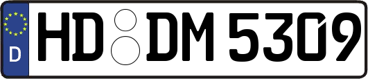 HD-DM5309