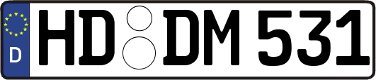 HD-DM531