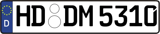 HD-DM5310