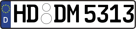HD-DM5313