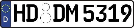 HD-DM5319