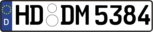 HD-DM5384