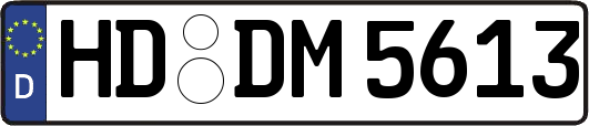 HD-DM5613