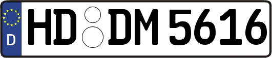 HD-DM5616