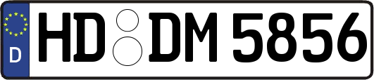 HD-DM5856