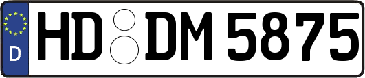 HD-DM5875