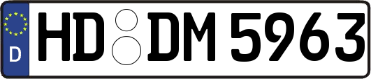 HD-DM5963