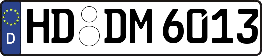 HD-DM6013