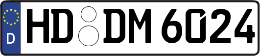 HD-DM6024