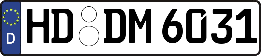 HD-DM6031