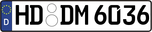 HD-DM6036
