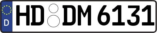 HD-DM6131
