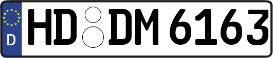 HD-DM6163