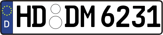 HD-DM6231