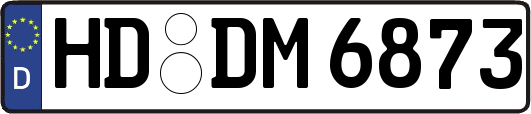 HD-DM6873