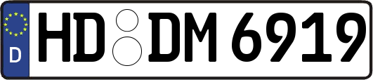 HD-DM6919