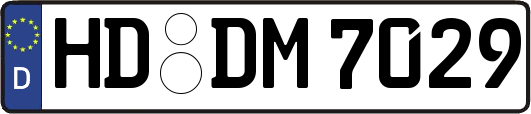 HD-DM7029