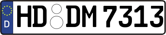 HD-DM7313