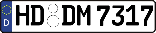 HD-DM7317