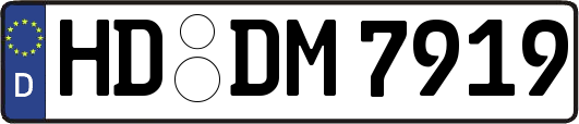HD-DM7919
