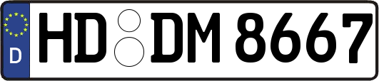 HD-DM8667