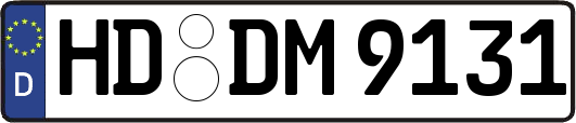 HD-DM9131