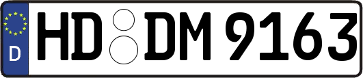 HD-DM9163