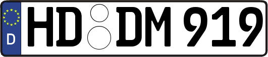 HD-DM919