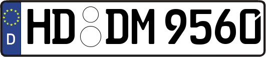 HD-DM9560