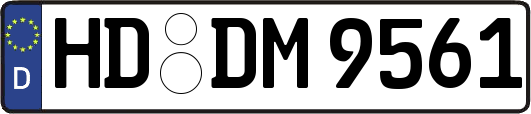 HD-DM9561