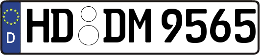 HD-DM9565