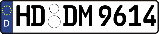HD-DM9614