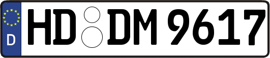 HD-DM9617