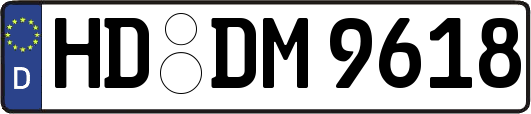 HD-DM9618