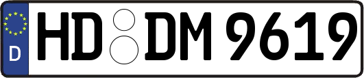 HD-DM9619