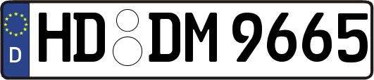 HD-DM9665
