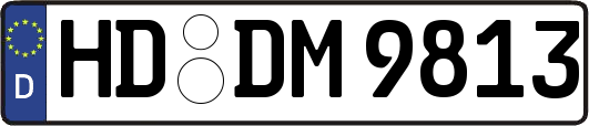 HD-DM9813